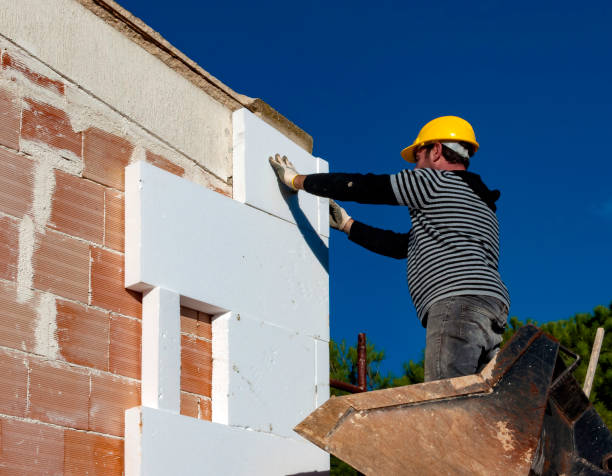 Best Specialty Insulation in Lemmon Valley, NV