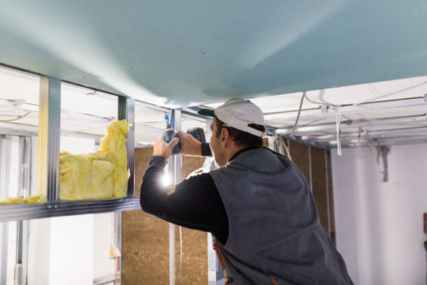 Best Insulation Installation Services in Lemmon Valley, NV