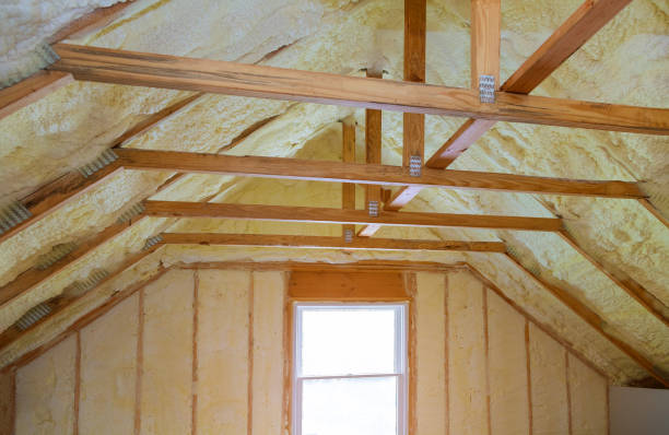 Best Types of Insulation in Lemmon Valley, NV