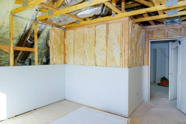 Types of Insulation We Offer in NV