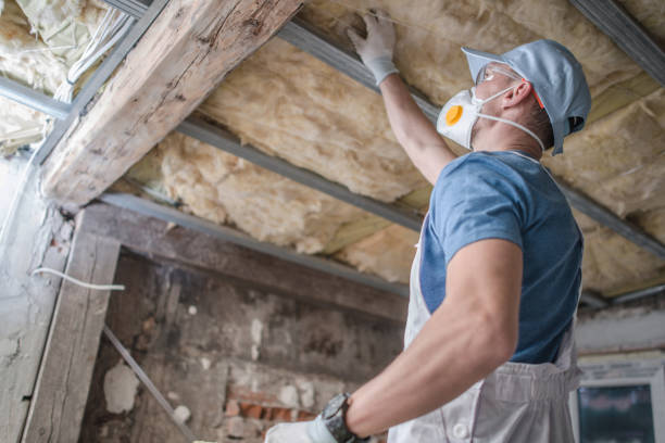 Professional Insulation Contractor in NV
