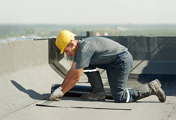 Best Types of Insulation in Lemmon Valley, NV