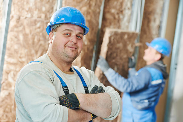 Best Insulation Installation Services in Lemmon Valley, NV