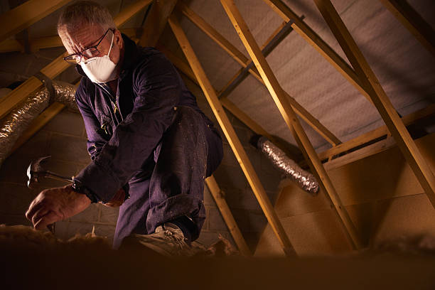 Best Commercial Insulation in Lemmon Valley, NV